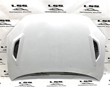 Капот DTM ВАЗ Гранта, Калина-2 59817